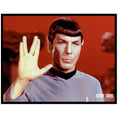 Load image into Gallery viewer, Star Trek, Mr.Spock, and Misc Unsigned Photos from Leonard Nimoy's Personal Collection