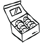 What You Will Receive